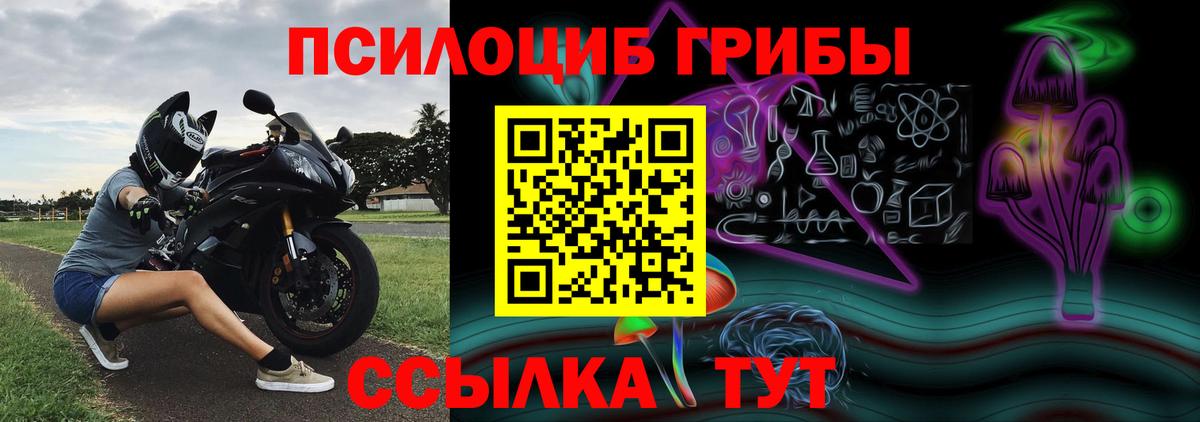Псилоцибиновые грибы прущие грибы Урус-Мартан