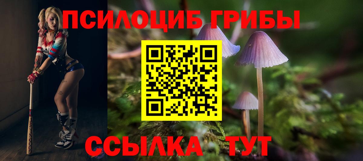 Урус-Мартан  Галлюциногенные грибы прущие грибы  Галлюциногенные грибы Magic Shrooms  наркотики  Вход с VPN 